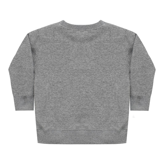 Garb BNP Paribas Open Toddler Crewneck Sweatshirt in Grey - Back View