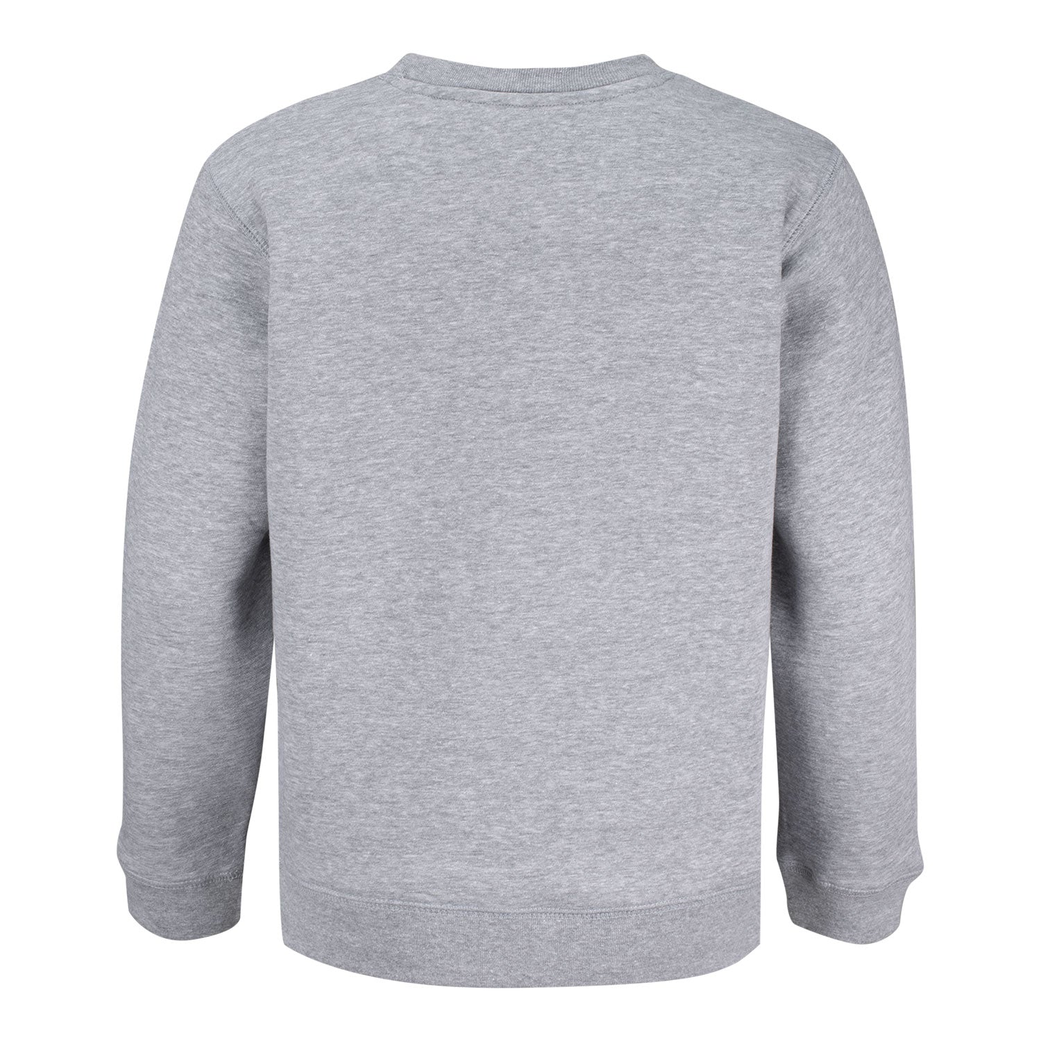 Garb BNP Paribas Open Youth Crewneck Sweatshirt in Grey - Back View